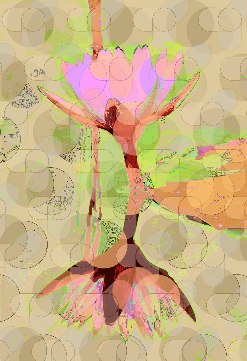 Reflexo do lírio de água (digital) de Scott J. Davis