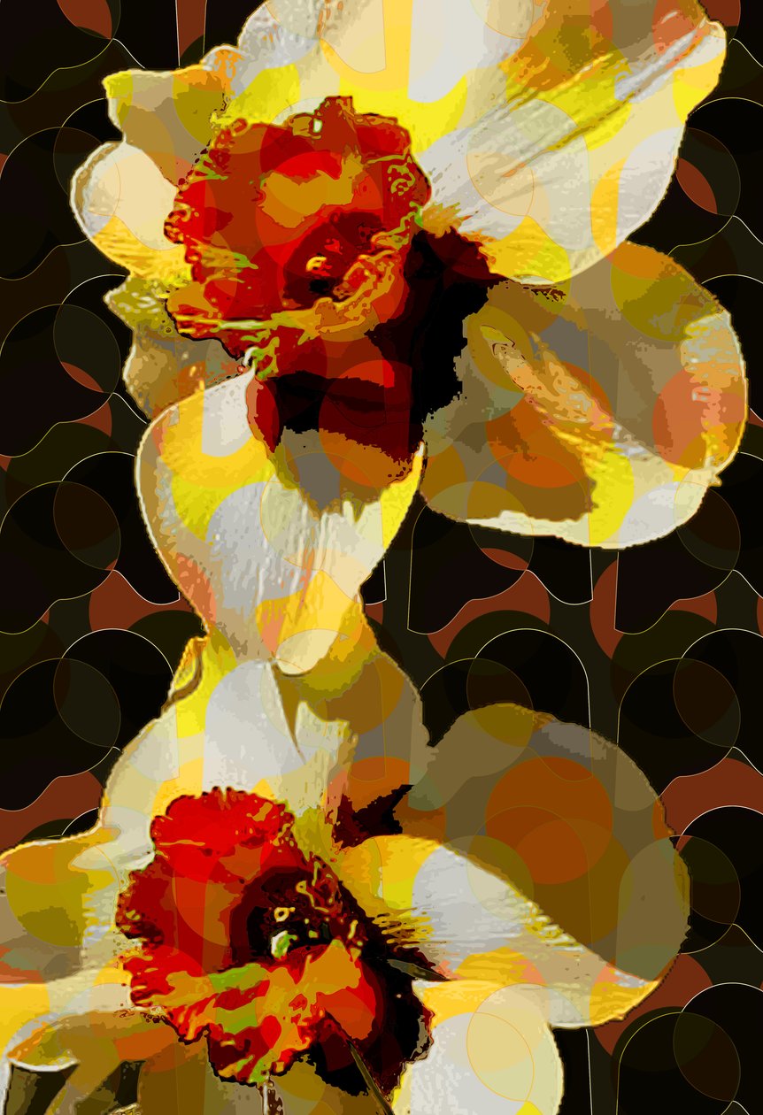 Narciso (digital) de Scott J. Davis