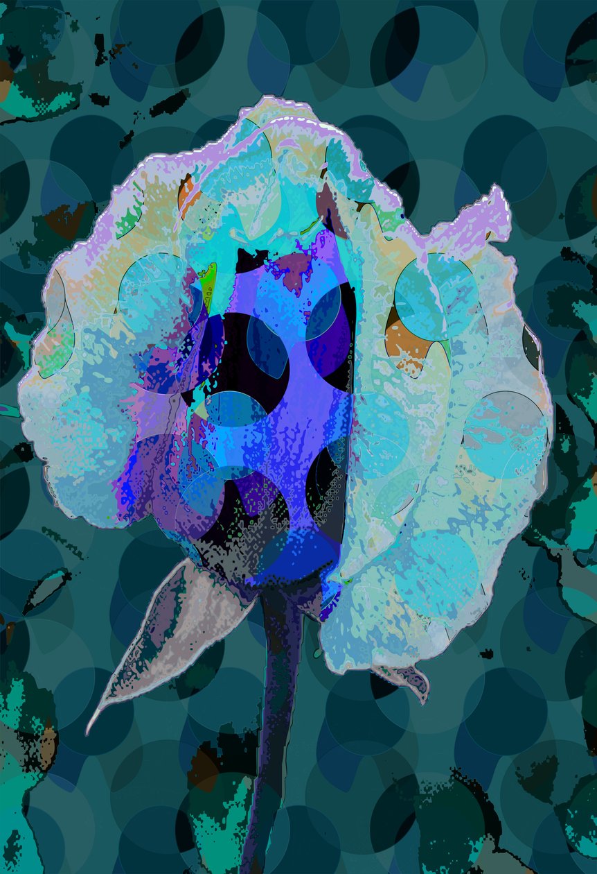 Rosa de Chá 5B (digital) de Scott J. Davis