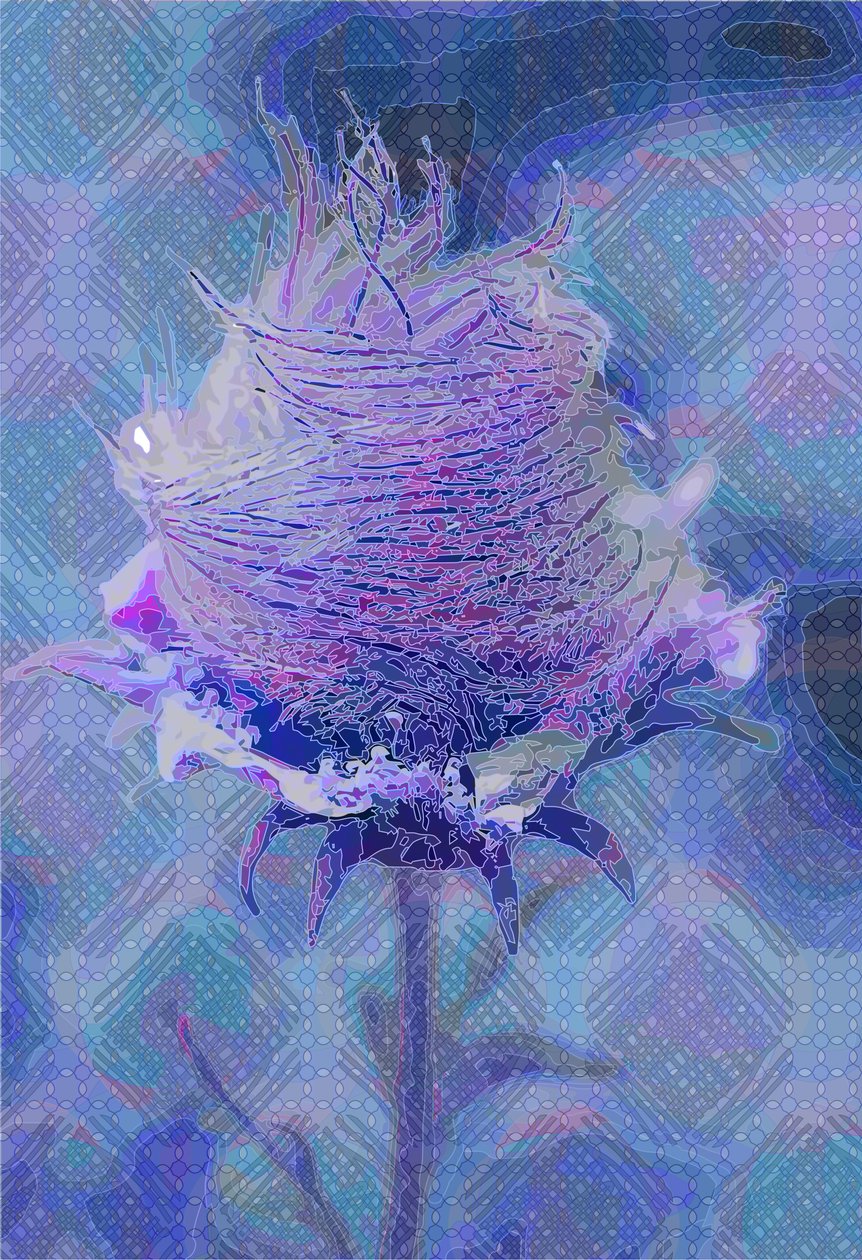 Avens de madeira,2 2019 de Scott J. Davis