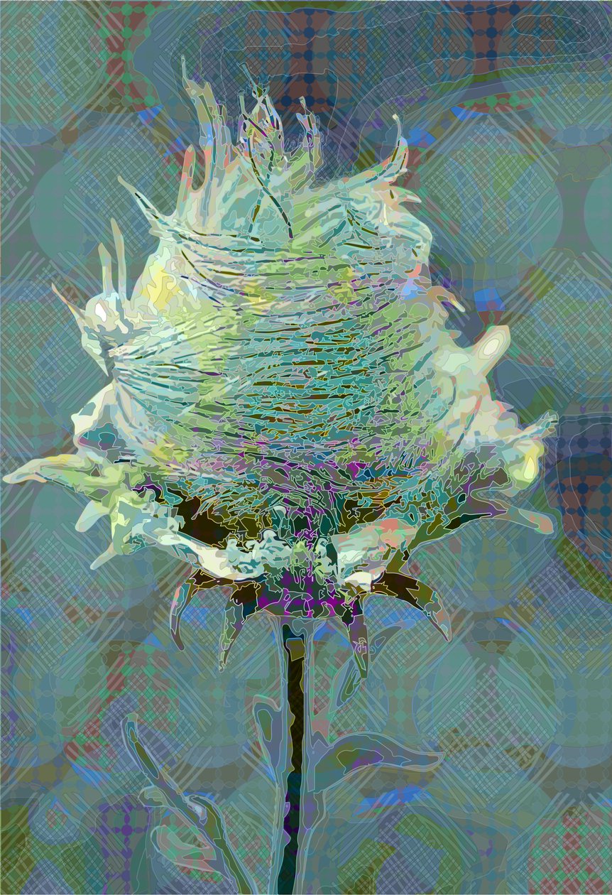 Wood Avens3, 2019 de Scott J. Davis