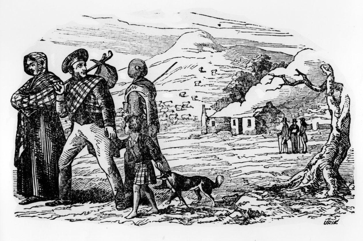 Escoceses sem-teto de Scottish School