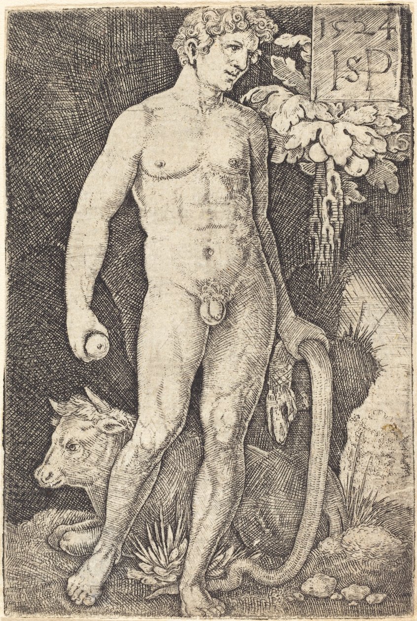 Adão em pé de Sebald Beham