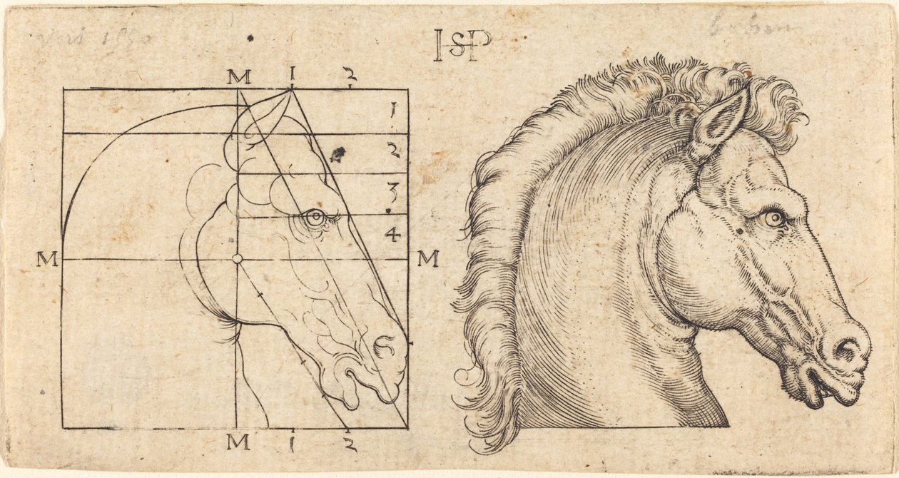 Duas cabeças de cavalo de Sebald Beham