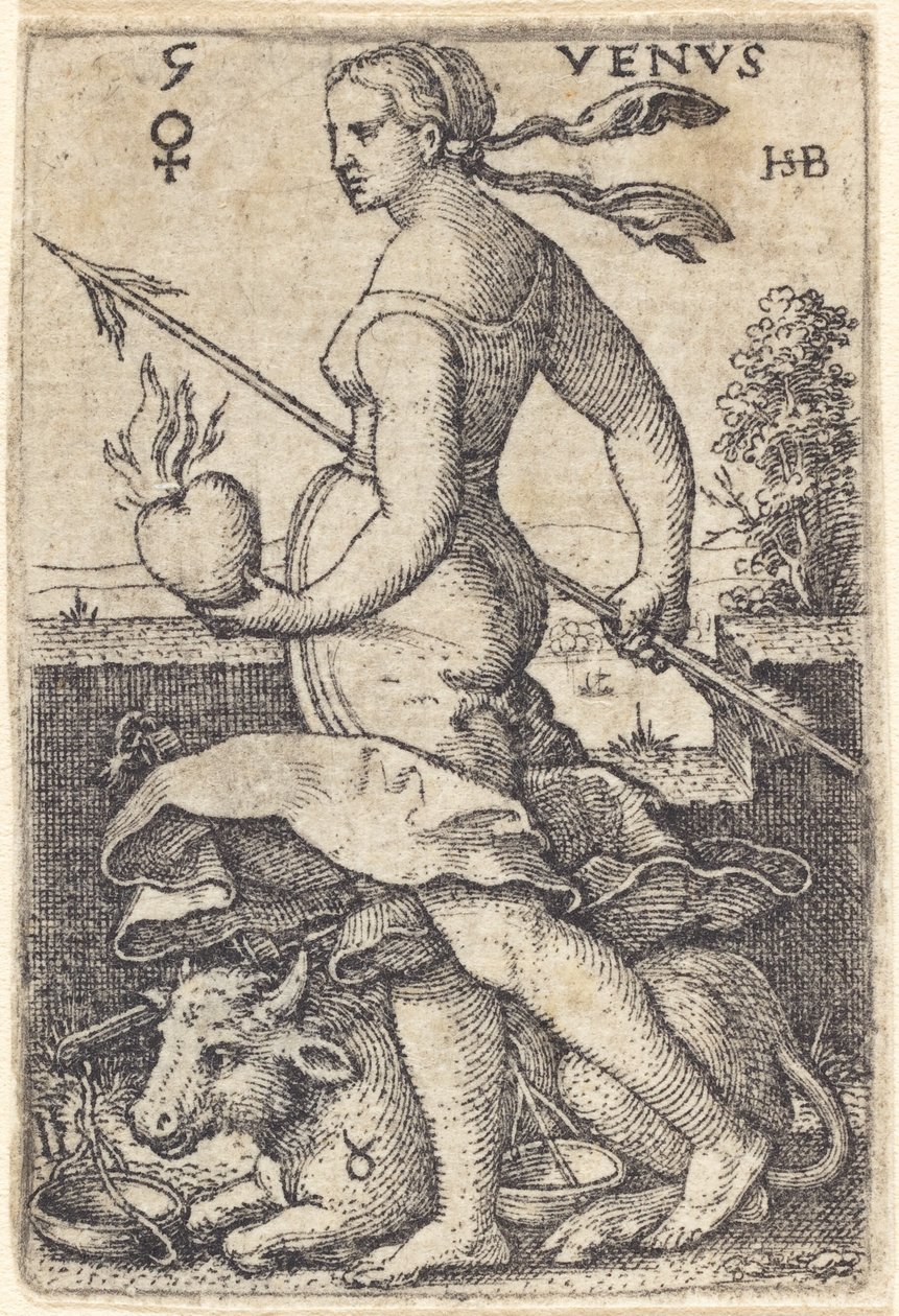 Vênus de Sebald Beham