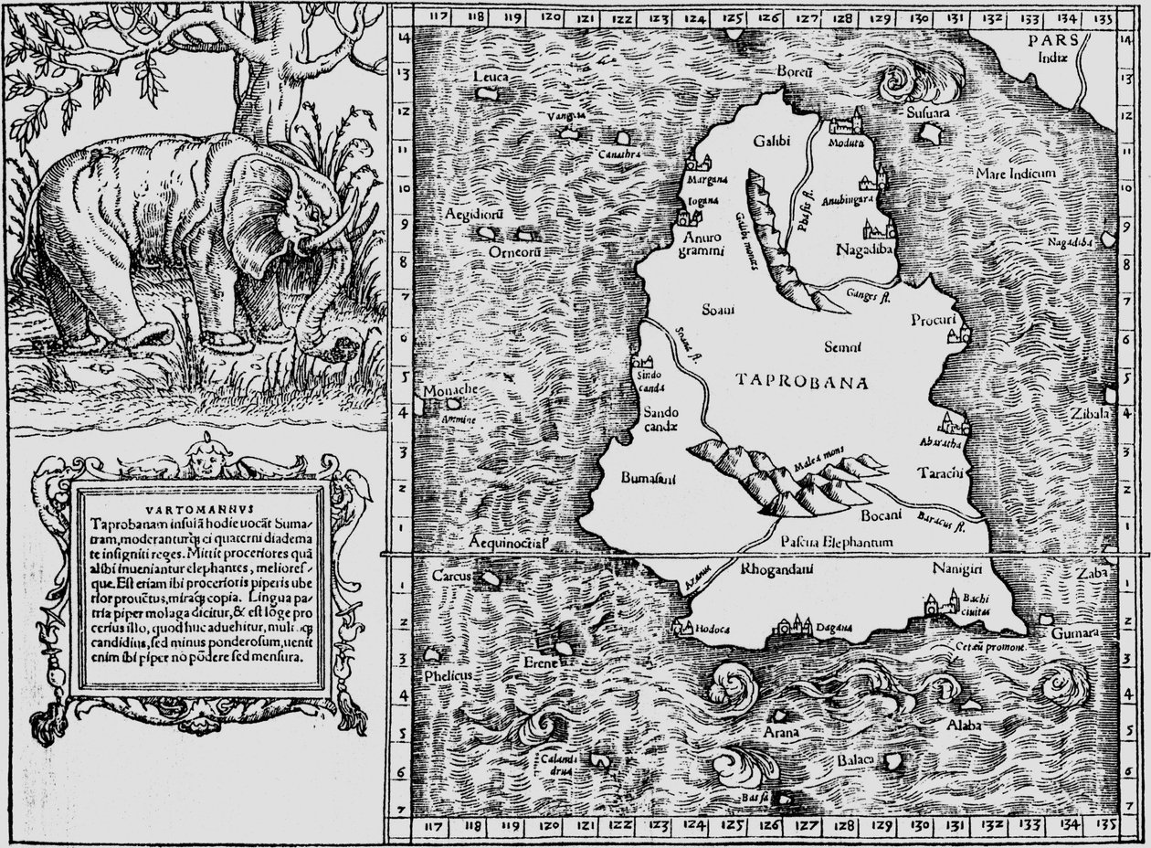 Tabela da Ásia 12, Toprobana da ilha, de Sebastian Munster