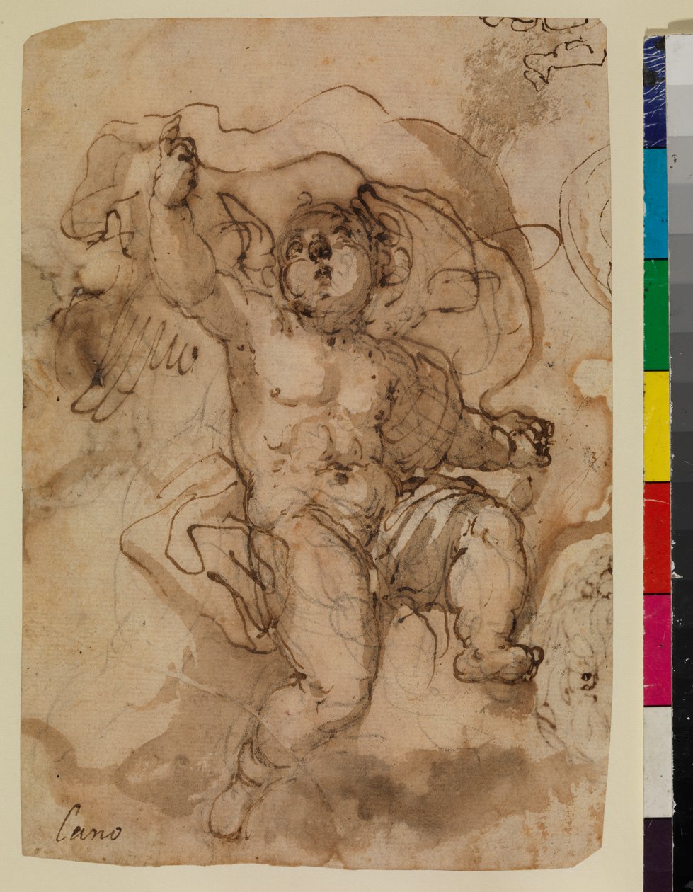 Putto em uma nuvem (reto) de Sebastian (attr.to) Munoz
