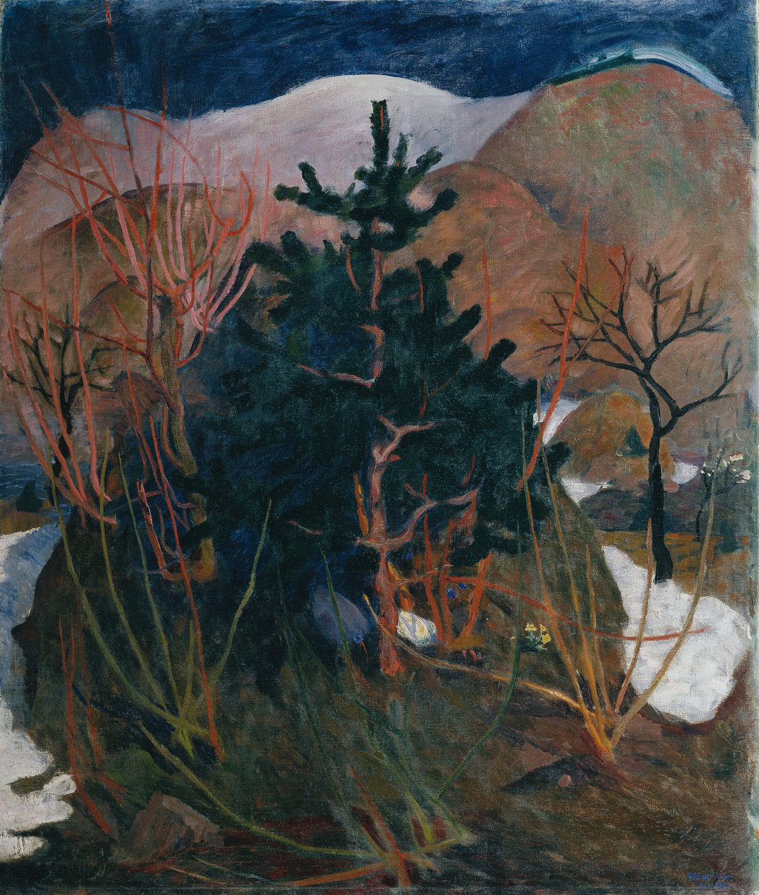 Paisagem da Caríntia de Sebastian Isepp