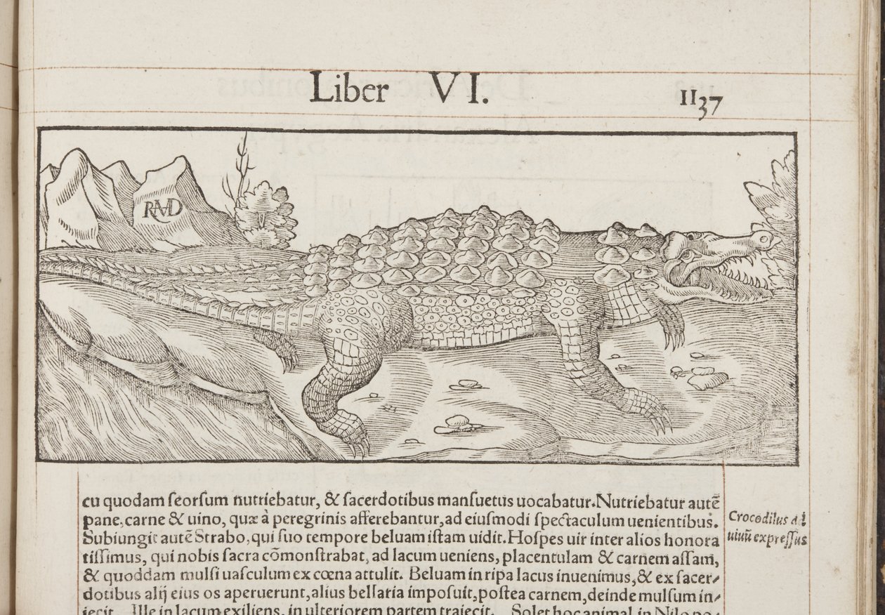 Cosmographia, Fol 1137, 1544 de Sebastian Munster
