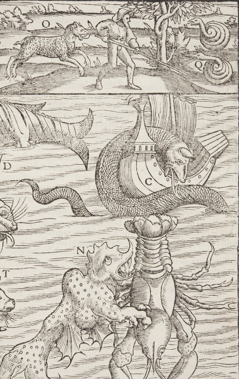 Cosmographia, Fol 853, 1544 de Sebastian Munster