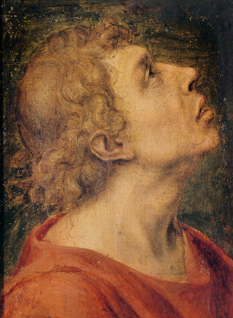 São João Evangelista (óleo sobre madeira) de Sebastiano del Piombo