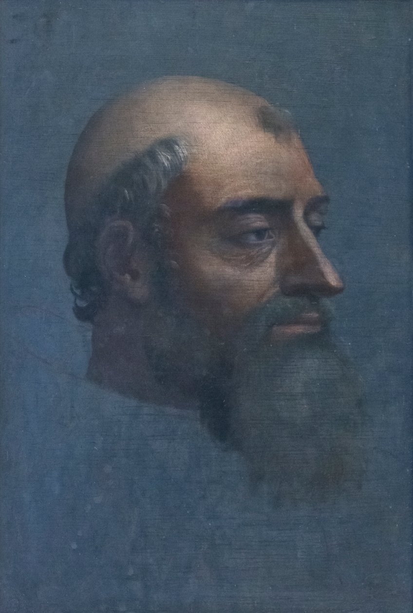 Retrato de Clemente VII com barba de Sebastiano del (c.1485 1547) Piombo