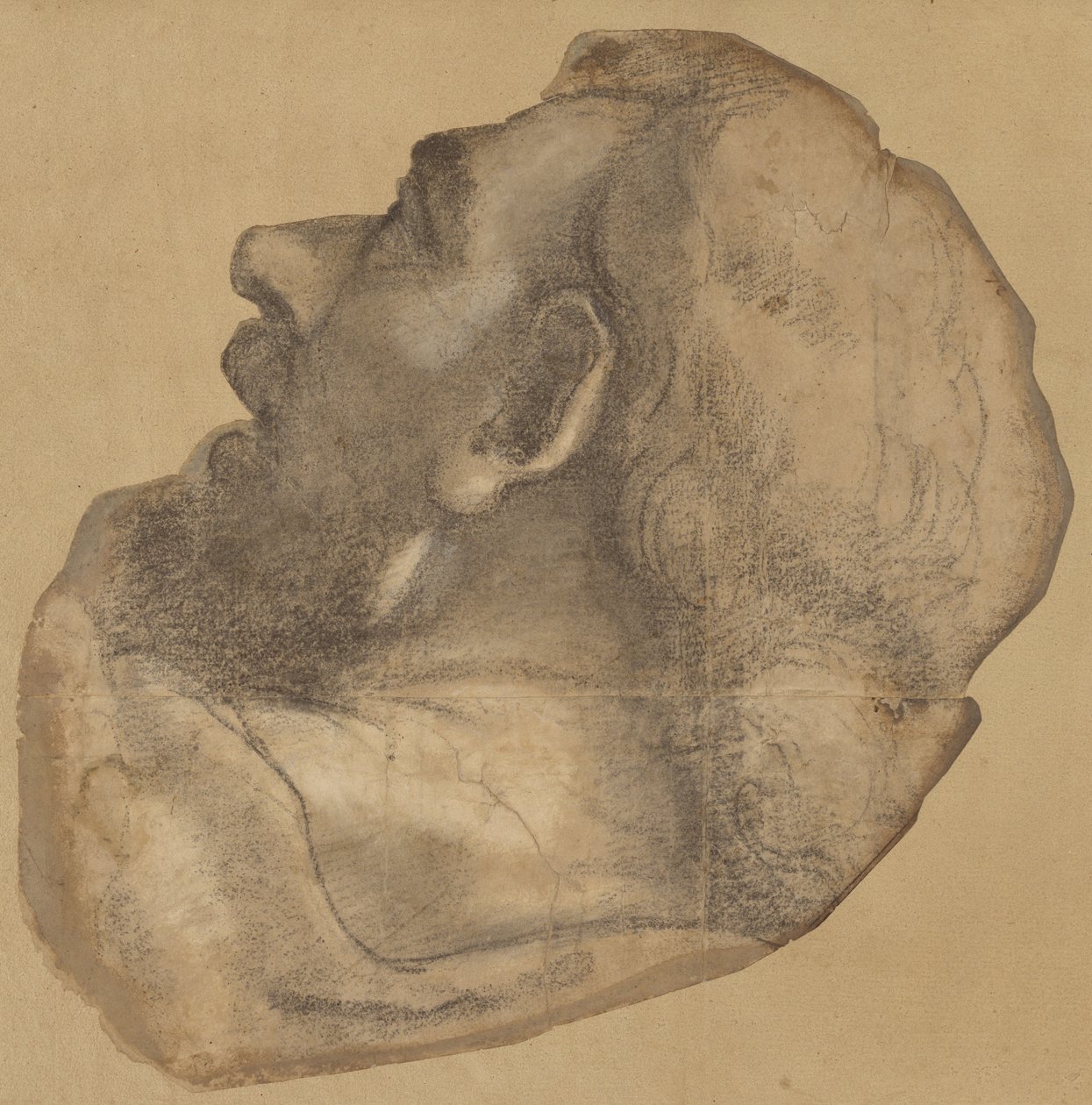 Caricatura da cabeça de São Tiago de Sebastiano del Piombo