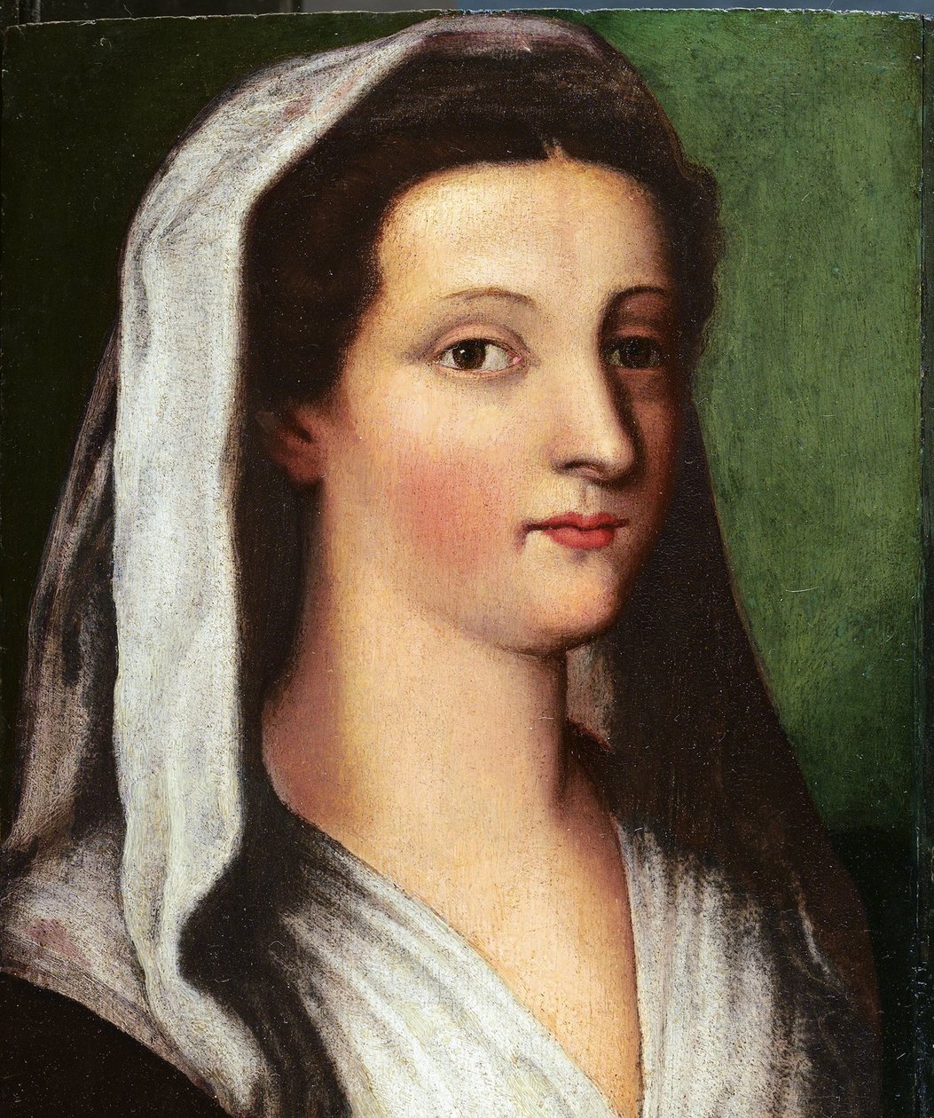 Retrato de Giulia Gonzaga, século XVI de Sebastiano del, Piombo