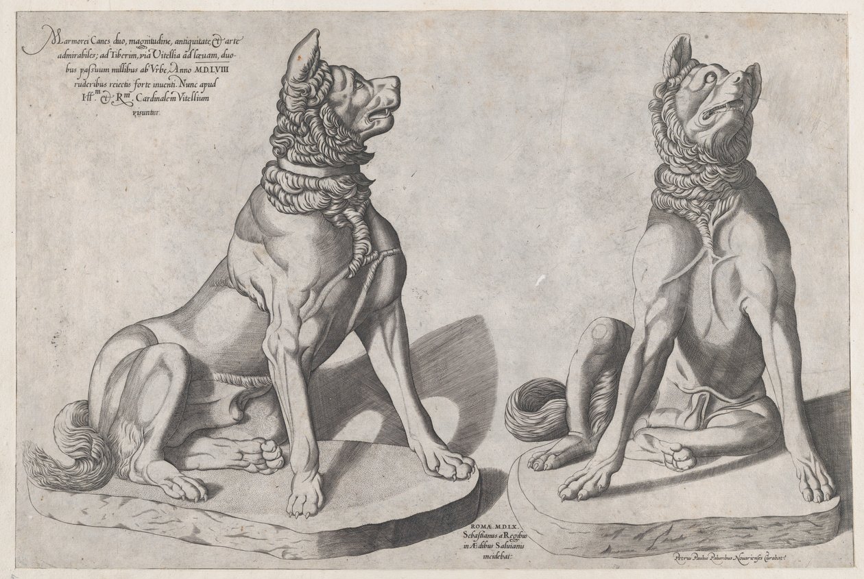 Dois Cães, 1558 de Sebastiano di Re