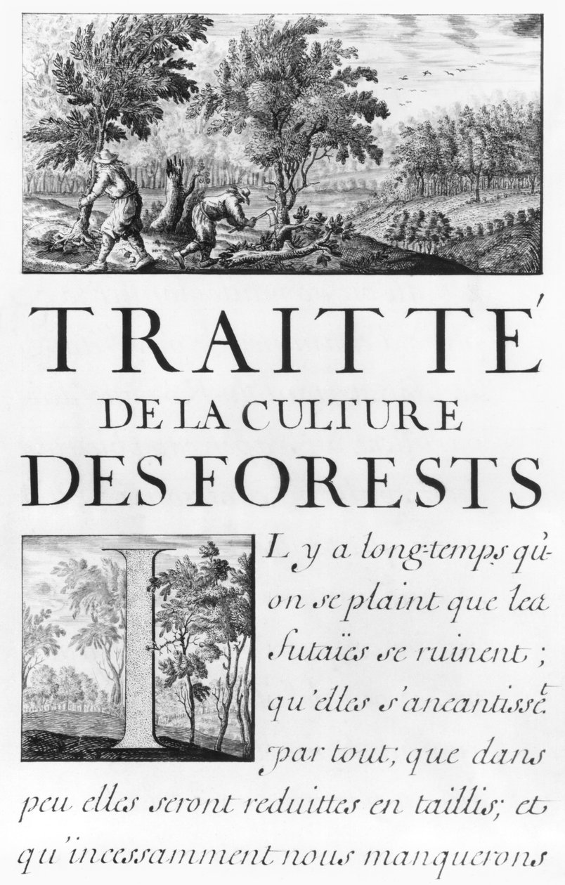 Ms 260 Volume IV Frontispício de &39;Tráfico da cultura da floresta&39; de &39;Oisivetes de M. Vauban contendo várias Memórias ou Ramas do seu caminho&39; de Sebastien Le Prestre de Vauban