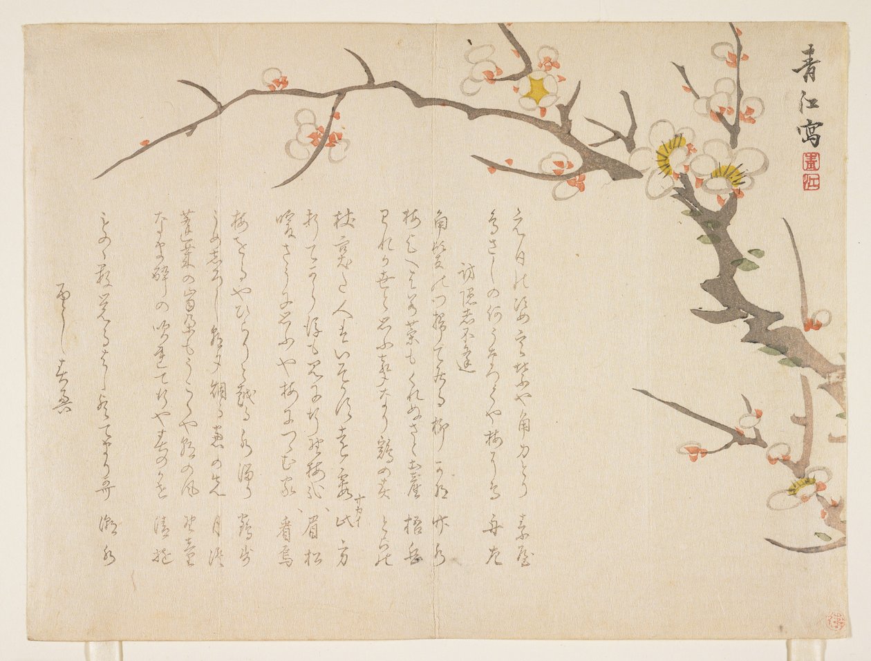 Ameixa de floração, janeiro de 1837 (impressão em xilogravura a cores) de Seik Hashimoto