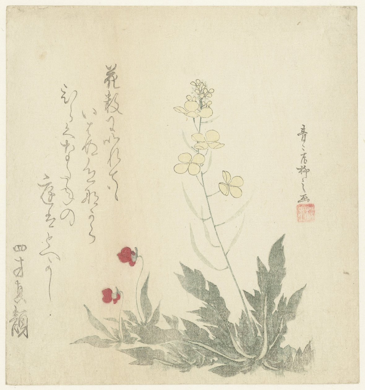 Plantas floridas de Seiseikyo Ryûshi
