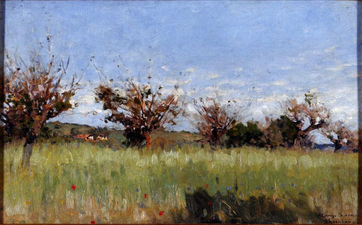 Campo de trigo com amora (óleo sobre tela de Serafin Avendano