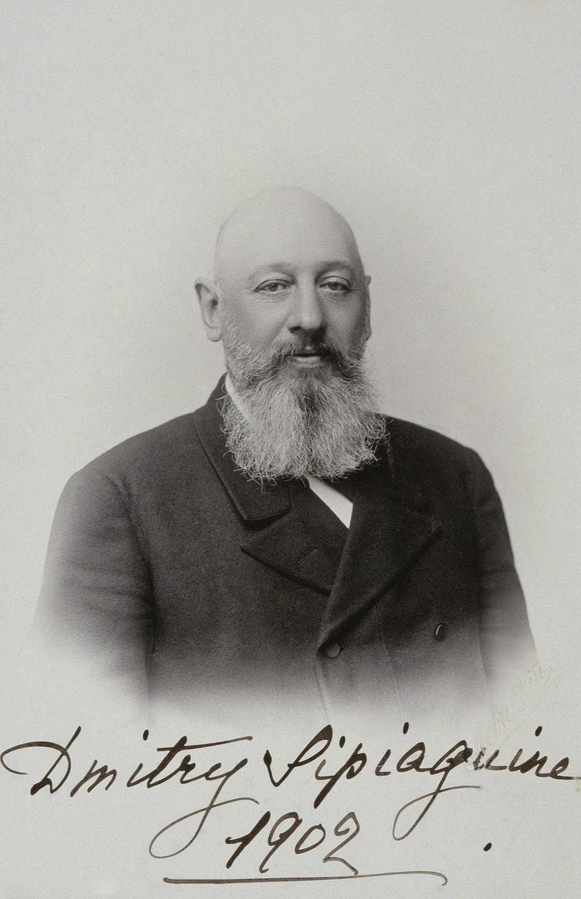 Retrato de Dmitry Sergeyevich Sipyagin 1853-1902, 1902 de Sergei Lvovich Levitsky