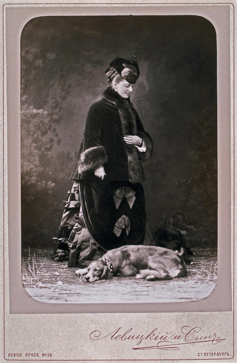 Princesa Ekaterina Mikhailovna Dolgorukova 1847-1922, década de 1870 de Sergei Lvovich Levitsky