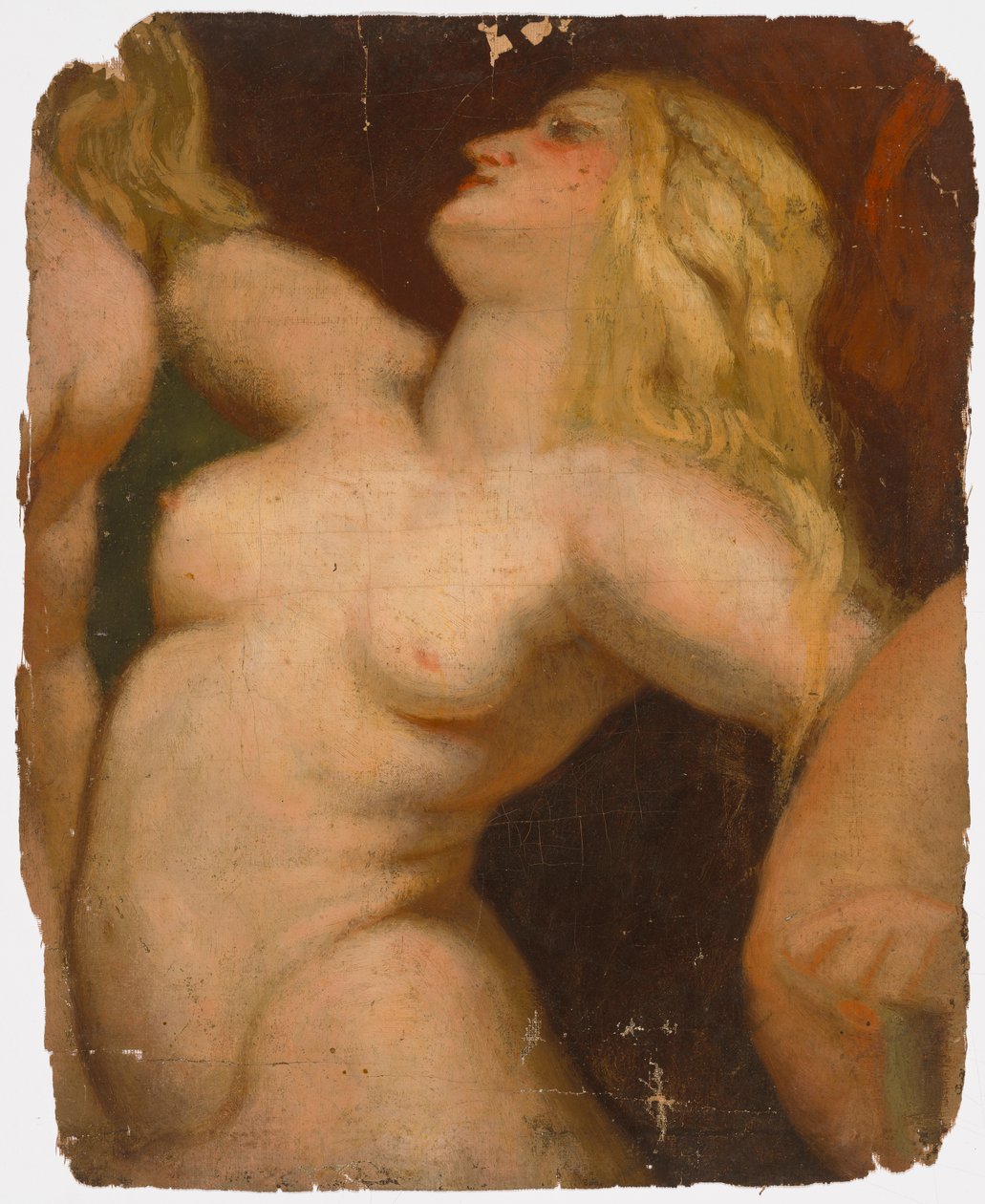 Nudez de Severin Falkman