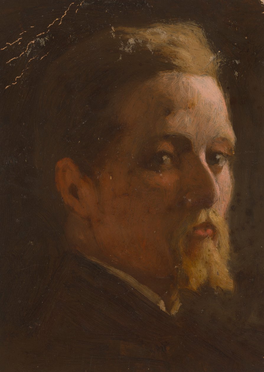 Retrato de um homem de Severin Falkman