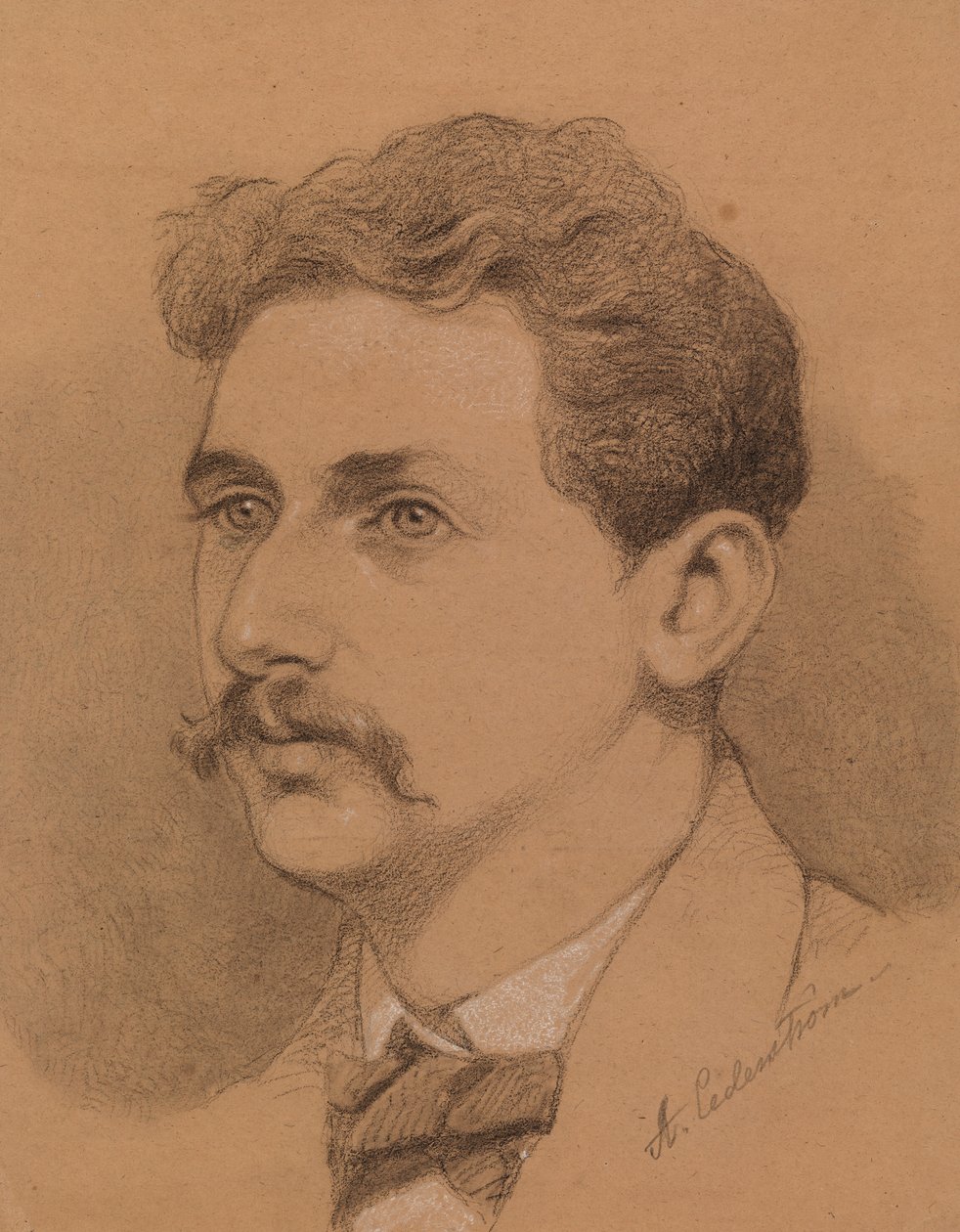 Retrato de um homem de Severin Falkman