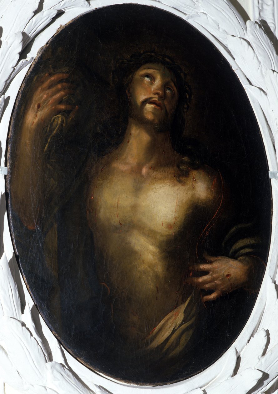 A paixão de Seyfried Lammers