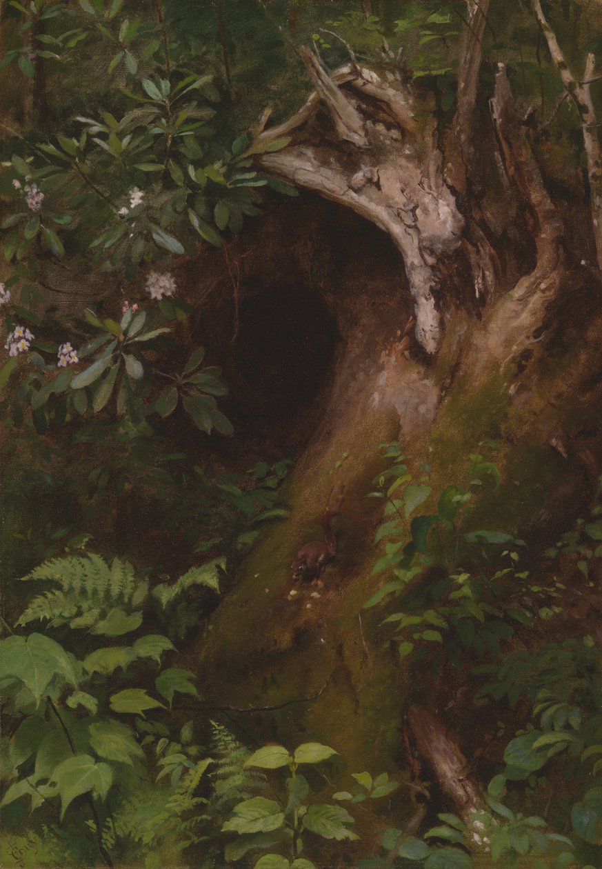 O Esquilo, 1860s70s. de Seymour Joseph Guy