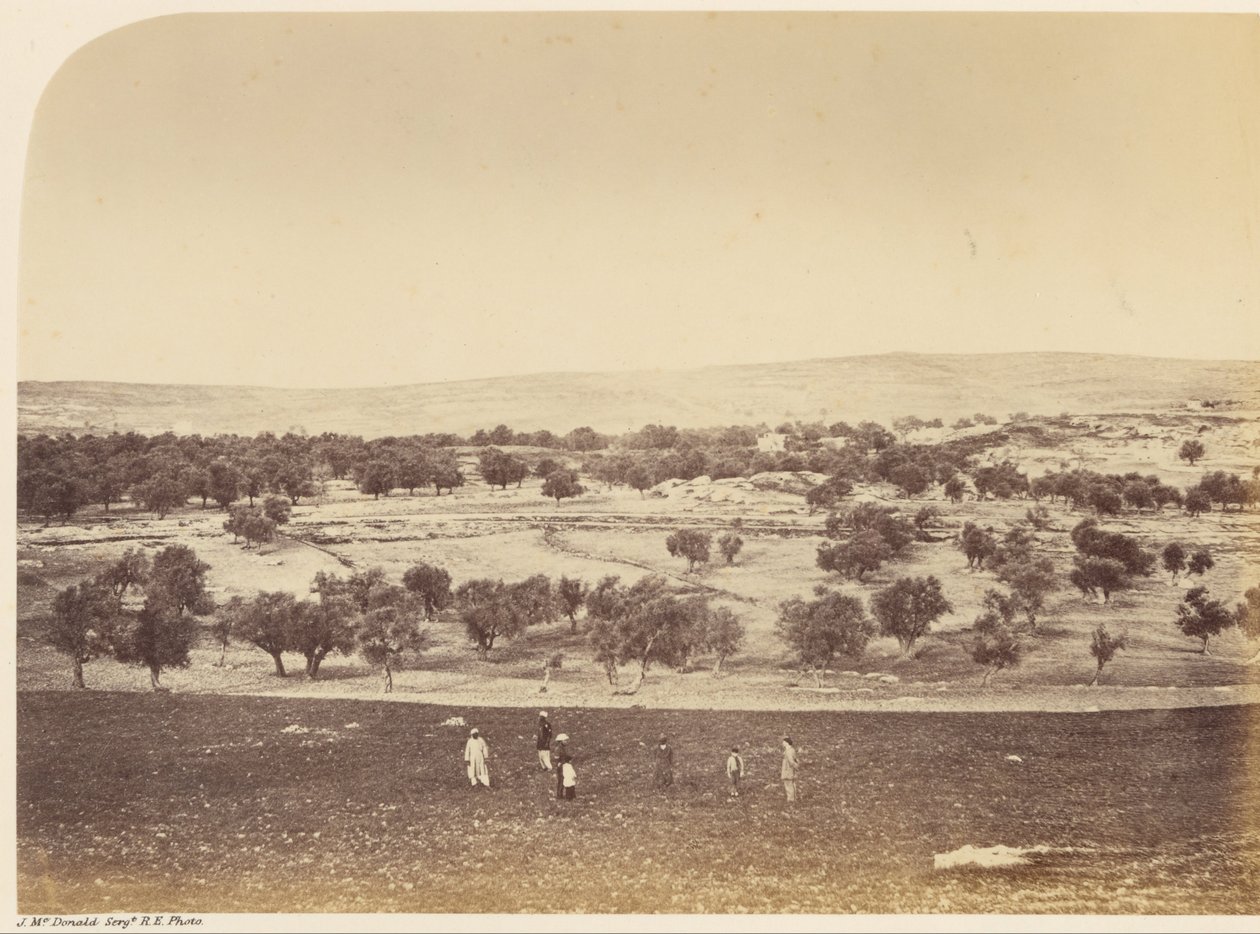 Vista Panorâmica da Cidade - Vista Geral da Cidade undc. do Norte de Sgt. James M. McDonald