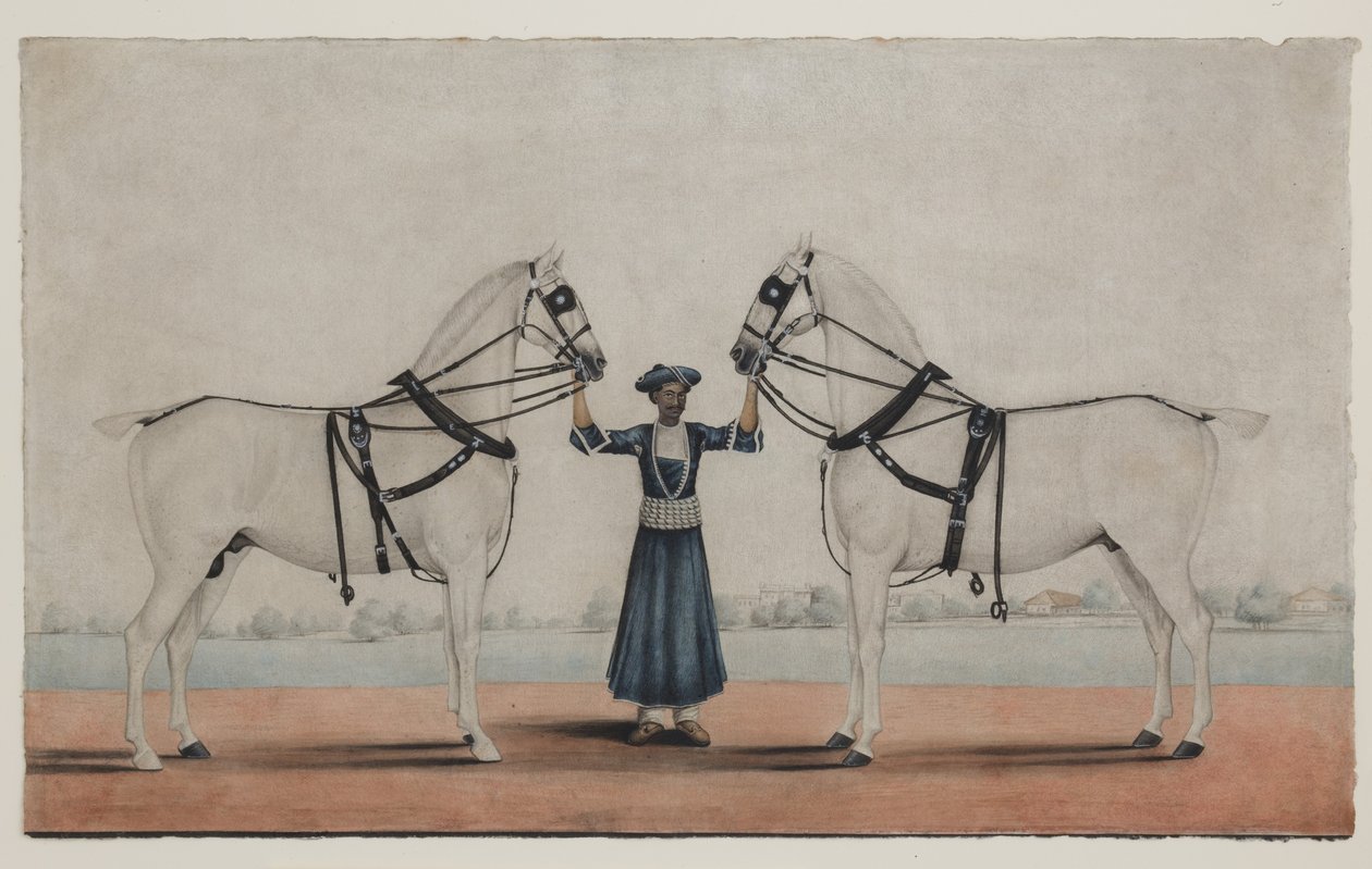 A Syce (noivo) segurando dois cavalos de carruagem, c.1845 (aquarela opaca sobre papel) de Shaik Muhammad Amir of Karraya (attr. to)