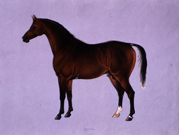 Oppidan, c.1840 (aguarela sobre papel) de Shaik Muhammad Amir of Karraya