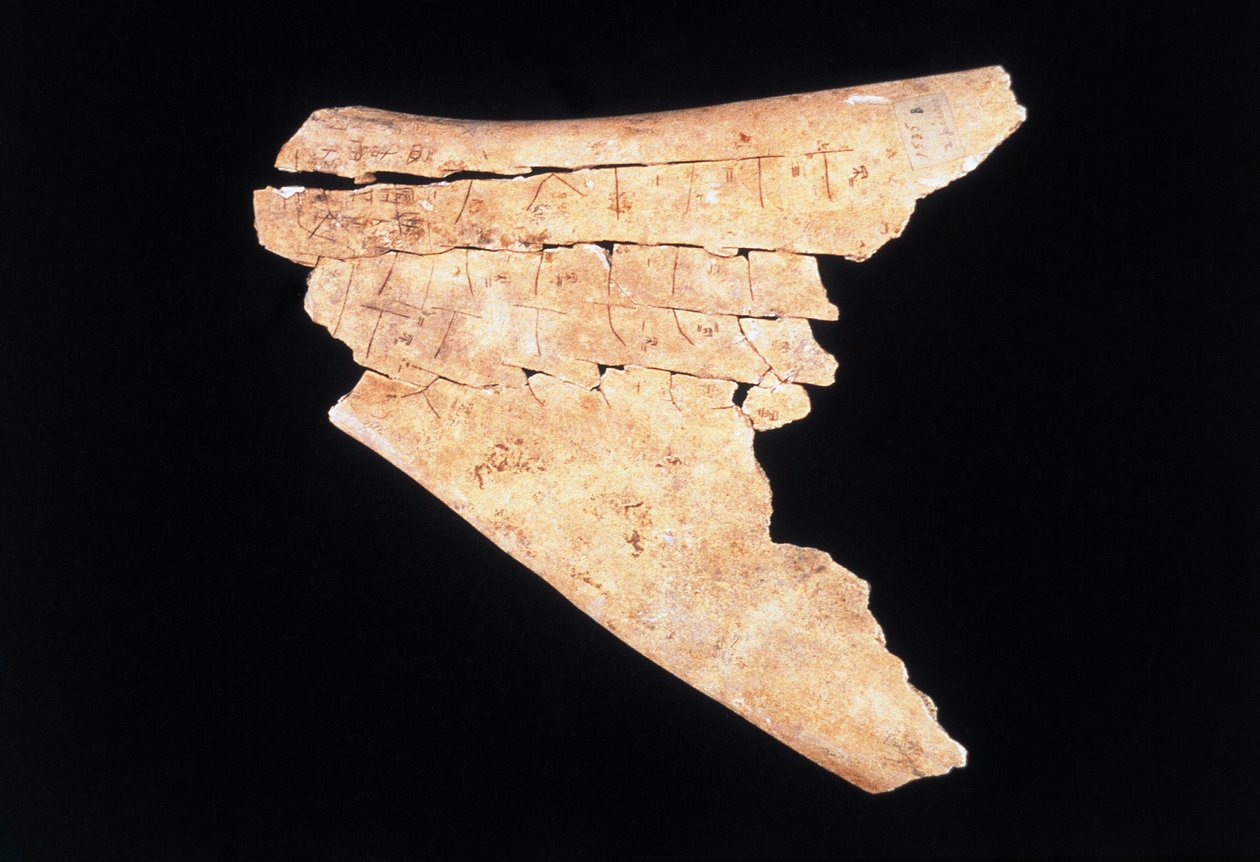 Pictograma numa escápula de boi com um ritual para afastar o perigo (osso) de Shang Dynasty Chinese School