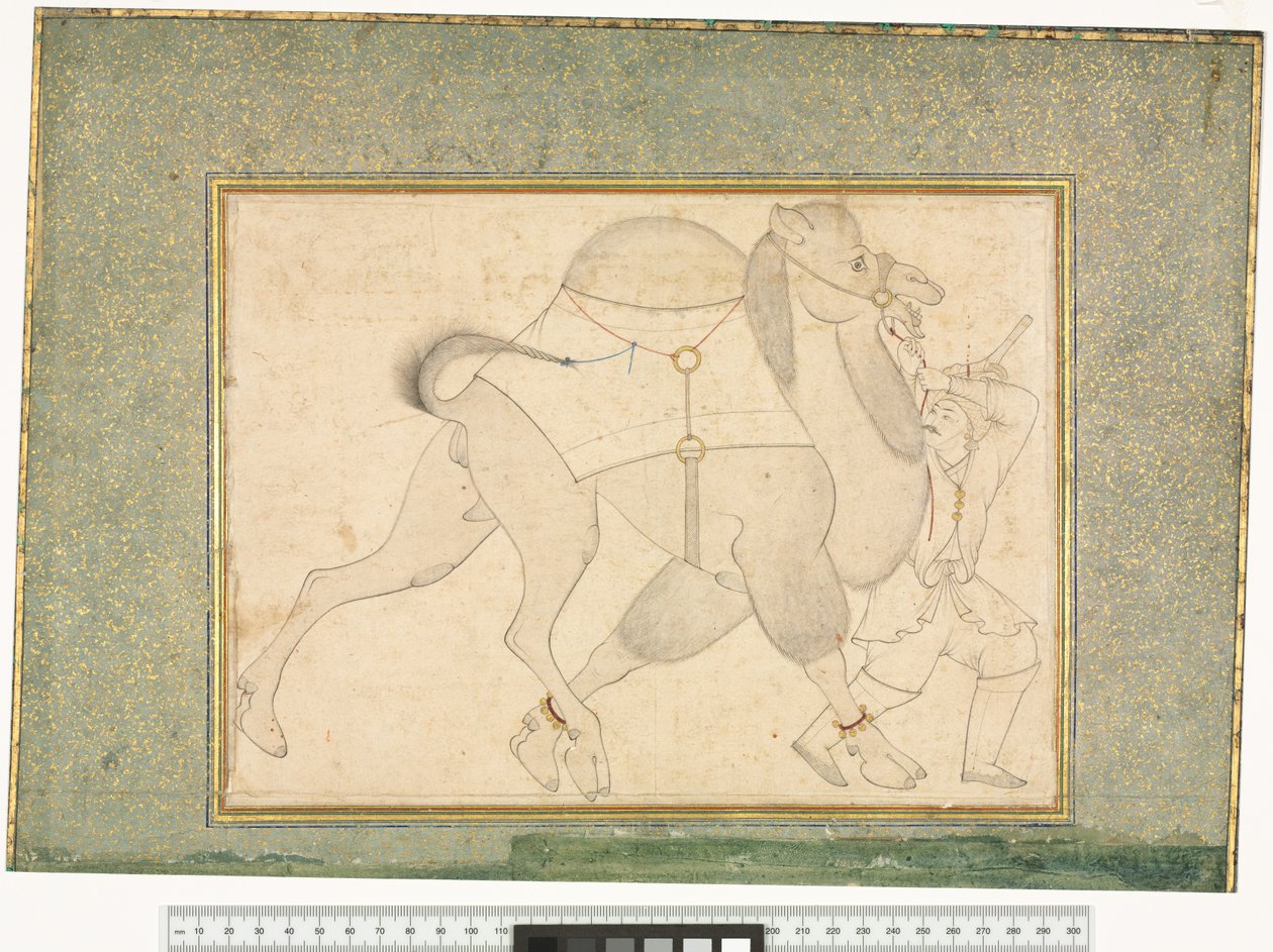 Camelo e Noivo, c.1545-76 de Shaykh Muhammad