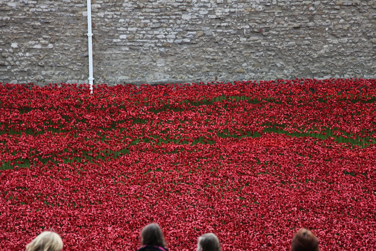 Terras varridas sangue e mares do vermelho, torre de Londres, 2014. de Sheldon Marshall