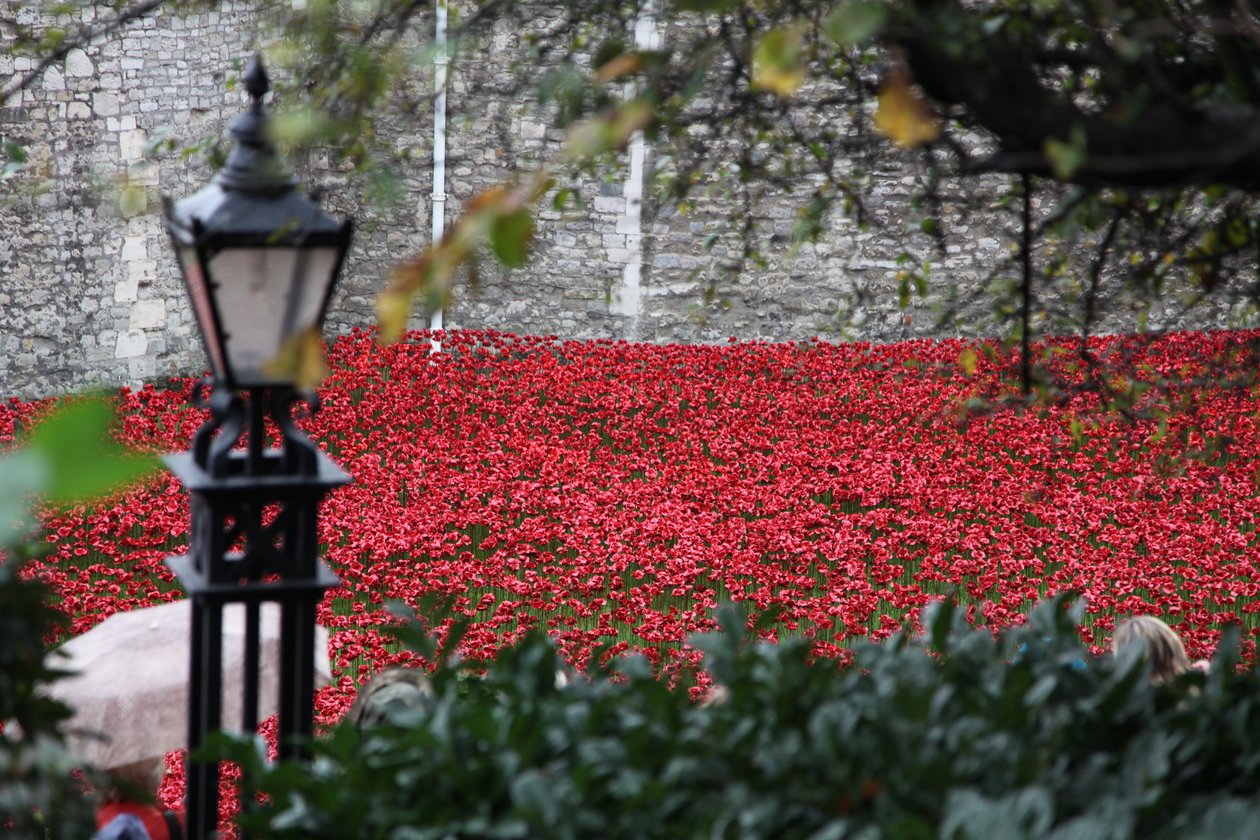 Terras varridas sangue e mares do vermelho, torre de Londres, 2014. de Sheldon Marshall