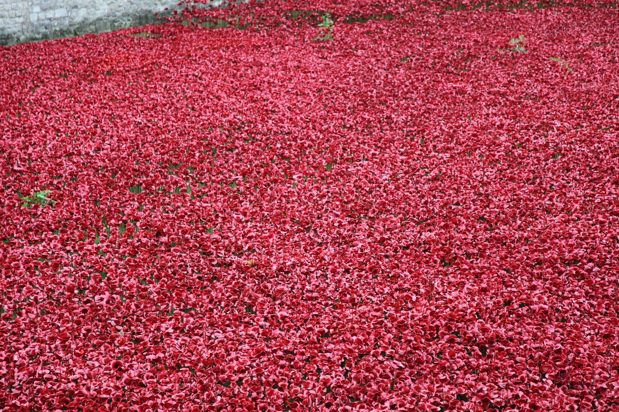 Terras varridas sangue e mares do vermelho, torre de Londres, 2014. de Sheldon Marshall