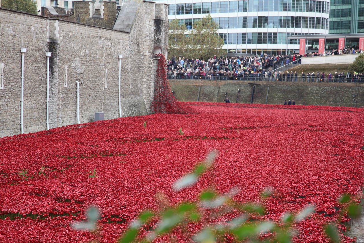 Terras varridas sangue e mares do vermelho, torre de Londres, 2014. de Sheldon Marshall