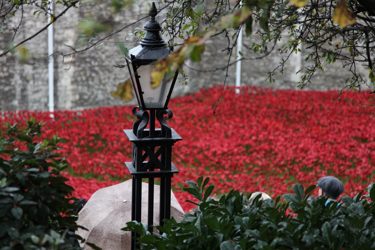 Terras varridas sangue e mares do vermelho, torre de Londres, 2014. de Sheldon Marshall