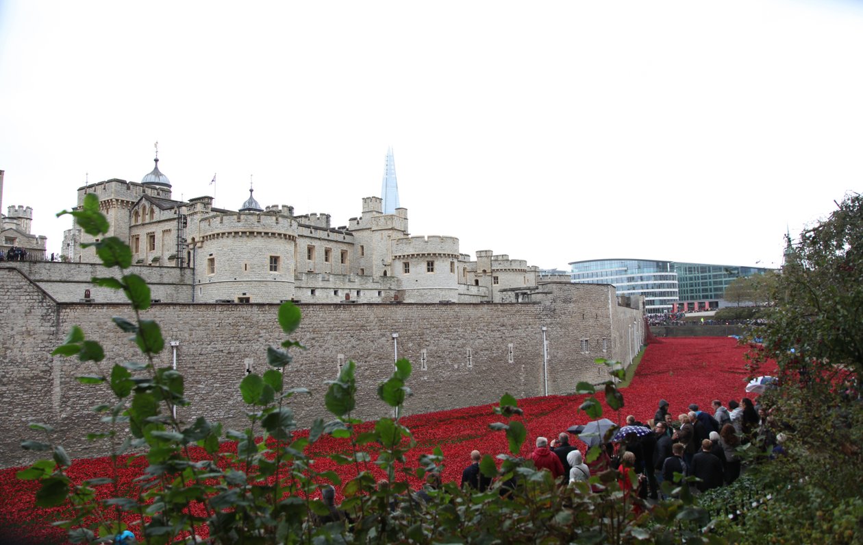 Terras varridas sangue e mares do vermelho, torre de Londres, 2014. de Sheldon Marshall