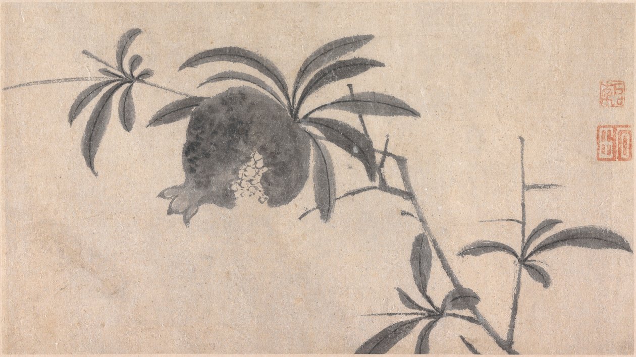 Fruta de Shen Zhou