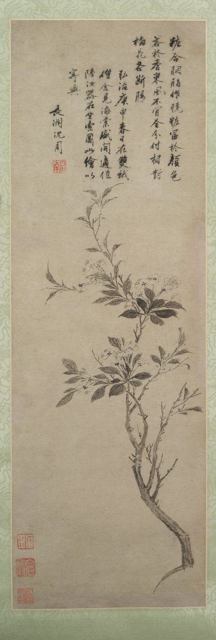 Maçã de caranguejo de florescência, 1500. de Shen Zhou