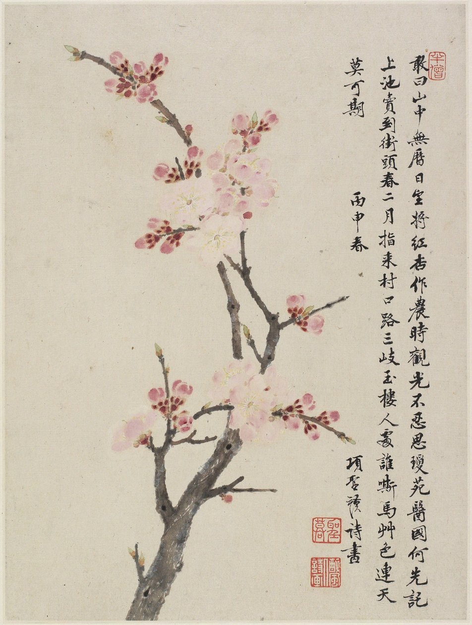 Álbum de Dez folhas, 1656 (tinta e cor no papel) de Shengmo Xiang