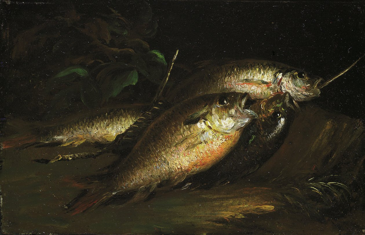Peixe, 1842. de Shepard Alonzo Mount