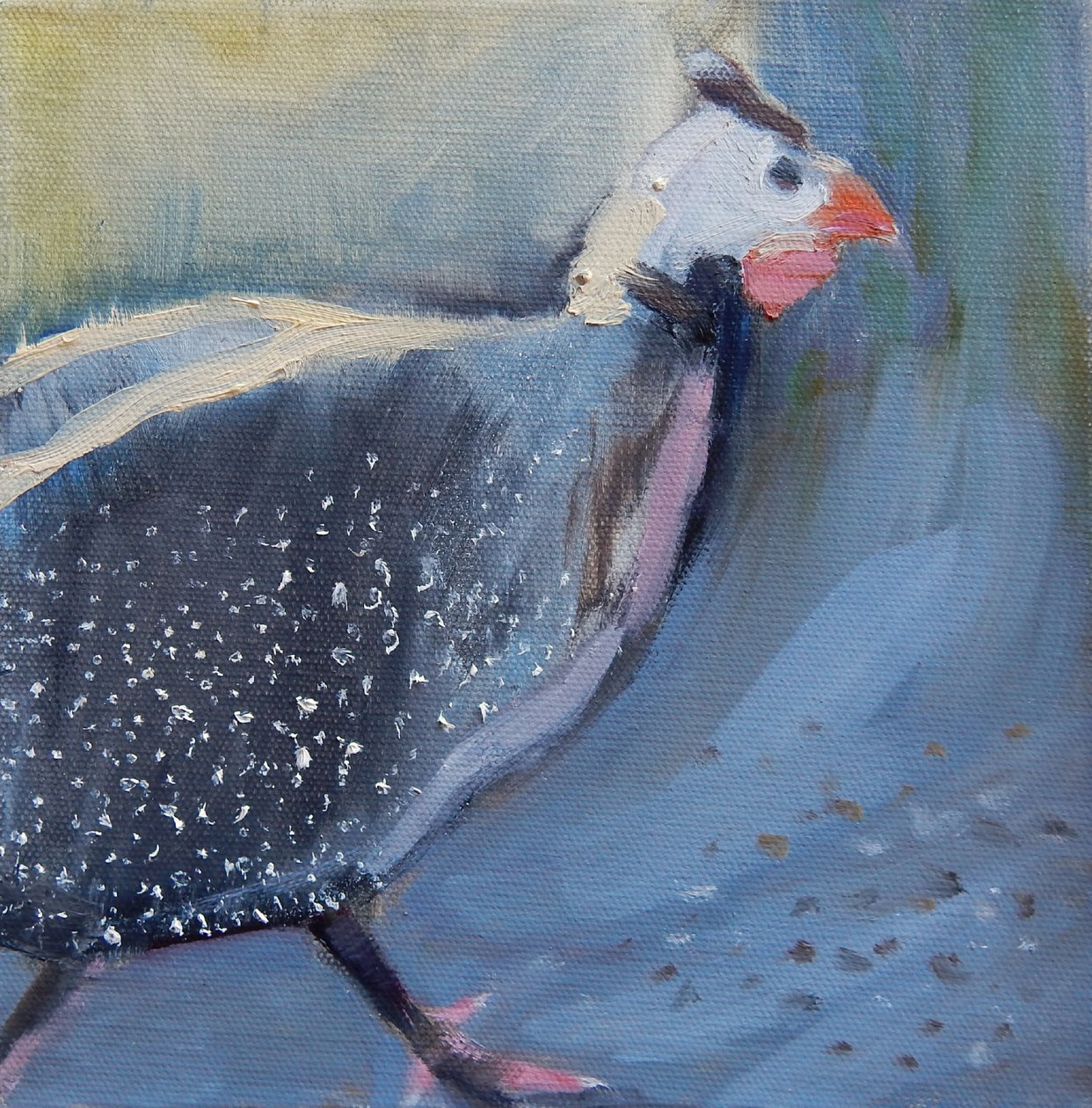 Guiné Fowl Four, 2014 de Sheri Gee