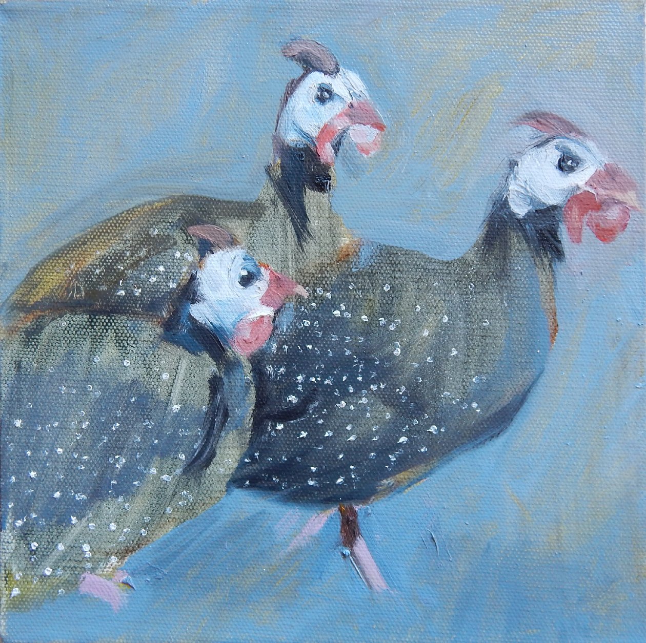 Guiné Fowl One, 2014 de Sheri Gee