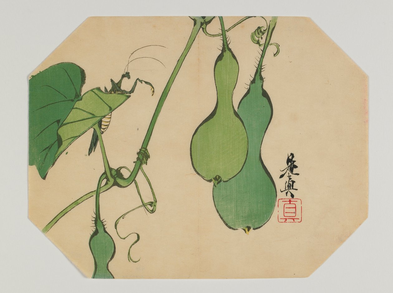 Imprima para um uchiwa, cabaças em uma videira com um mantis, era de Meiji, recente século de 19 (impressão de woodblock de cor) de Shibata Zeshin