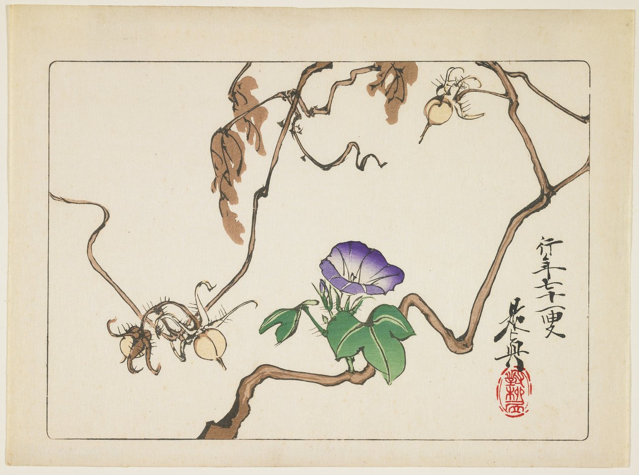 Videira e sementes da glória da manhã, 1877 de Shibata Zeshin