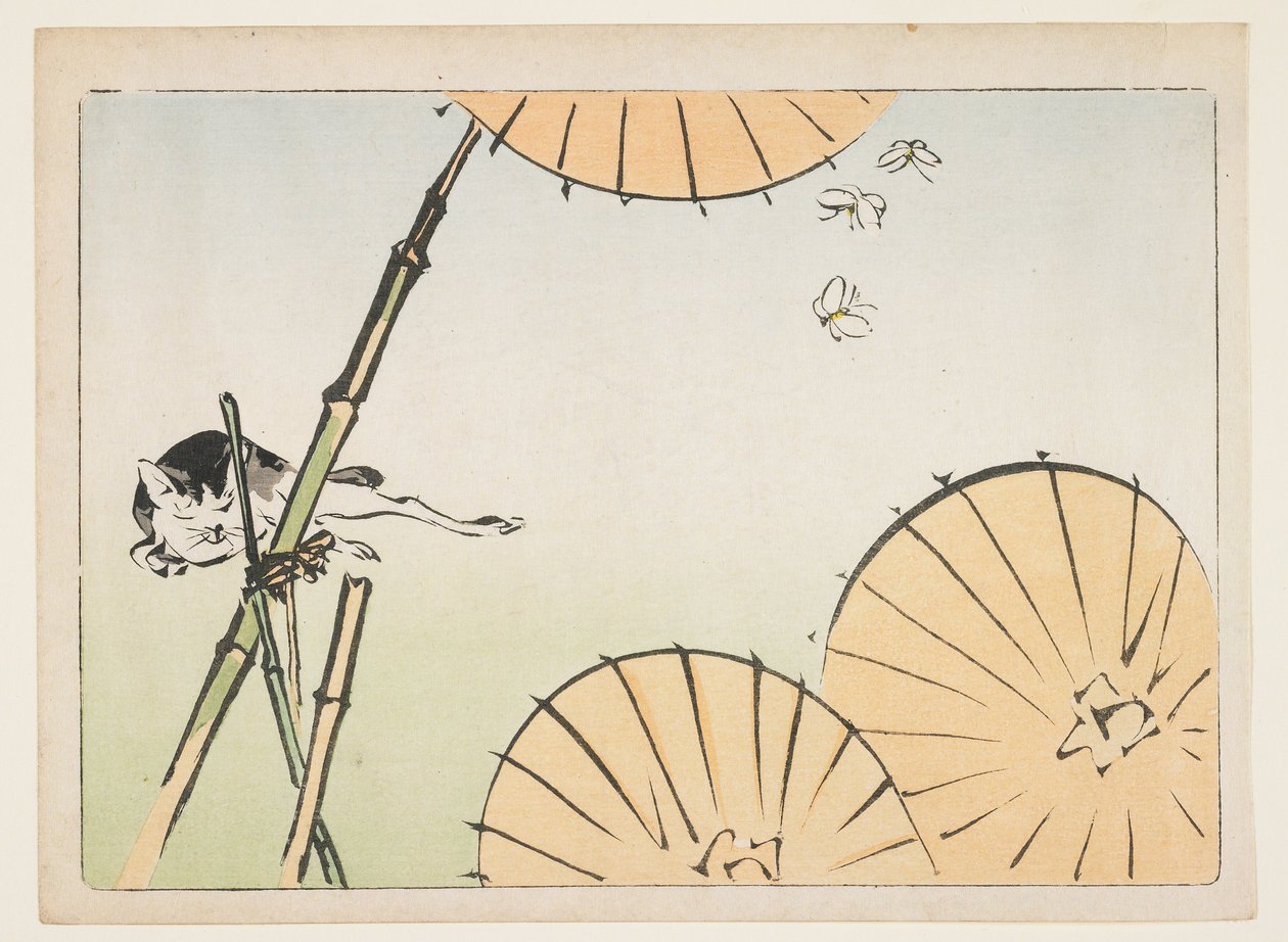 Bambu, guarda-chuvas, um gato e borboletas de Shibata Zeshin